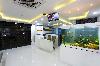 Gold Dental Care -