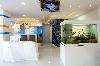 Gold Dental Care -